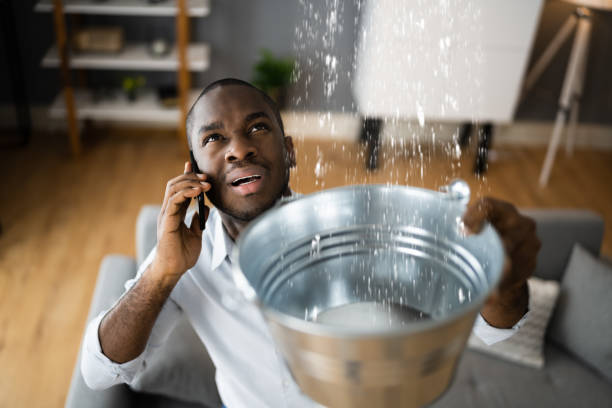 Best Water damage restoration near me  in Des Moines, WA