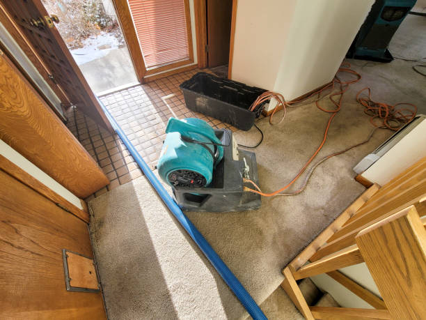 Best Carpet water damage restoration  in Des Moines, WA