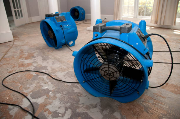 Best Water damage restoration near me  in Des Moines, WA