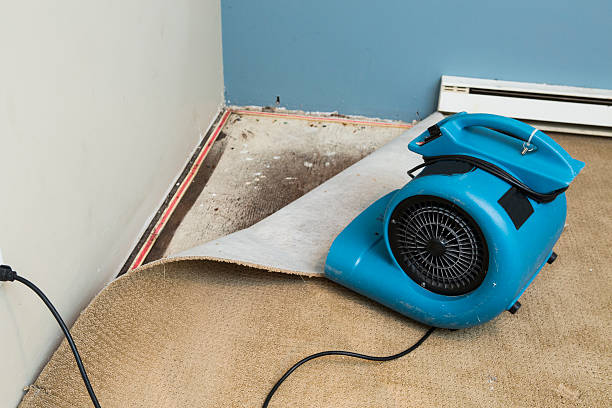 Best Flooded house restoration  in Des Moines, WA